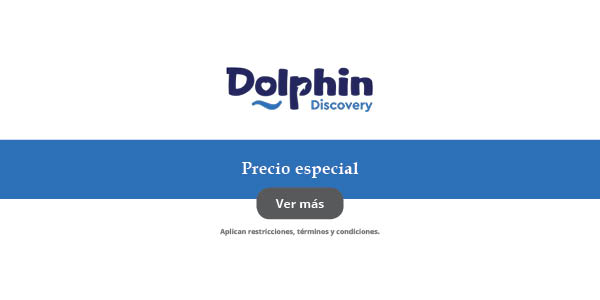 promocion-Dolphin-Discovery